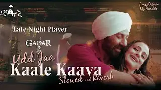 Udd Jaa Kaale Kaava | Gadar 2 | Slowed and Reverb | Late-Night Plyaer