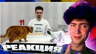 БРАЙН Заменил Своего Кота Роботом за 3000$ | РЕАКЦИЯ НА THEBRAINMAPS