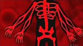 Albedo Fourarms Transformation   Full