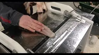 Шкуросьемная машина (шкуросъемка) для рыбы, морепродуктов (кальмар и пр.), мяса и мясопродуктов.
