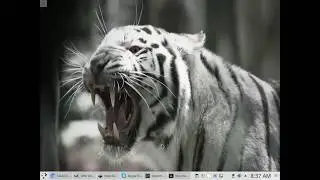 linuxfx-ctos 8.0 lts