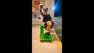 Fox Riding A Lion
