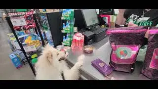 Does Valentino Like Bubbles??
