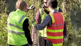Melbourne Airport World Environment Day - 5 June 2020