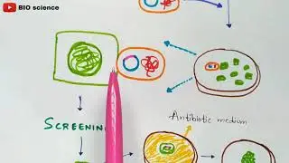 Edible vaccines | Production in laboratory | Benefits | Oral vaccines | Bio science