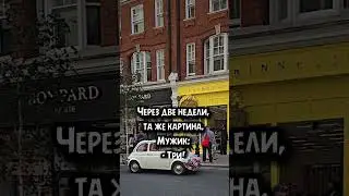 28 мая 2024 г.