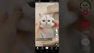 как мило❤️❤
