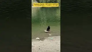 Къара кёлде, Тебердиде #кавказ #карачаевцы #горы #балкарцы