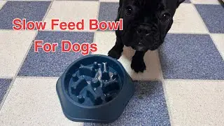 Does The slow feeder bowl for dogs actually work?