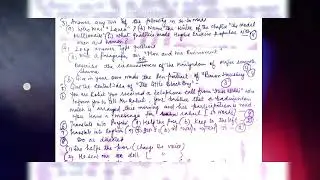 PSEB 12th Class General English November Paper 2022 | Full Solved Paper | Pseb 12th #pseb #12th
