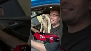29 августа 2024 г.