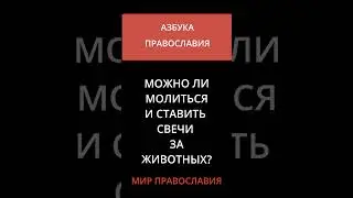 Можно ли молиться и ставить свечи за животных
