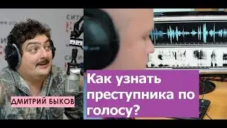 Dmitry Bykov / Elena Golyashina (phonoscopist). How criminals are caught by their voices.