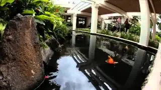 Day One Recap - Amway Diamond Club 2011