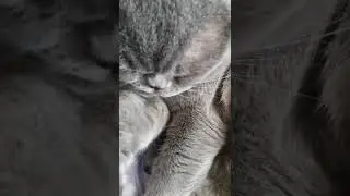 После прогулки.