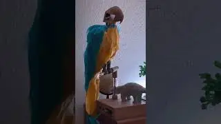 Enchanted Bird Animatronic