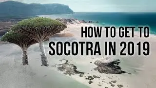 BEFORE you go to Socotra! Q&A