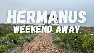 Hermanus Vlog - “But what is grief if not love persevering?”