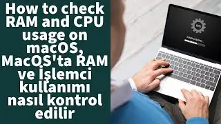 How to check RAM and CPU usage on macOS, How to check RAM and CPU usage on macOS