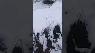 To day snow fall