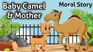 Baby Camel and Mother | English Cartoon | Animal Moral Stories for Kids 