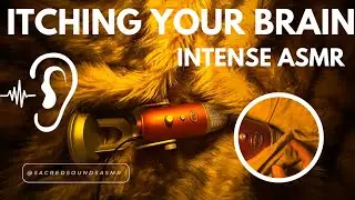 Intense ASMR Itching Your Brain for 10 Minutes Tingles Guaranteed