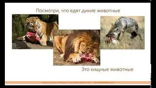 Дикие и домашние животные. Презентация для детского сада
