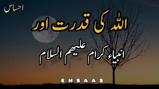 Allah ki qudrat Aur Ambiya kraam | Islamic videos | Islamic Quotes | Islamic status