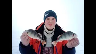 23 февраля! Рыбалка ловля на тигровую мормышку