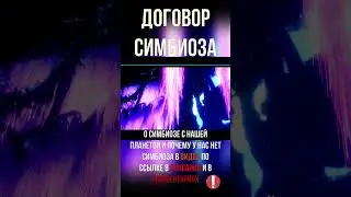 ЭТО БЫЛ РАЙ!!! Каждая душа тянулась к совершенству 