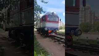 Шедевро Edith с ту2-191 | #рек #train #поезд #рекомендации #railway #trainspotting #ту2