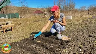 Открываем огородный сезон / Наводим порядок на участке