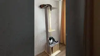 DIY КОГТЕТОЧКА