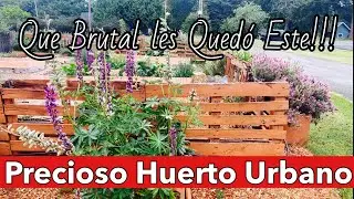 Miren Que Clase De Huerto!!!