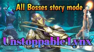 Story mode with Lynx in shadow fight arena