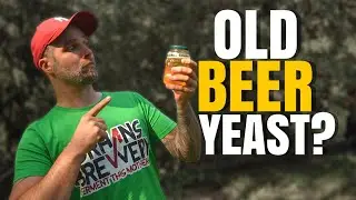 How Long Can You Store Liquid Yeast? - Using old yeast
