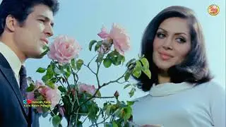 Handan Kara - Arım Balım Peteğim (1972)