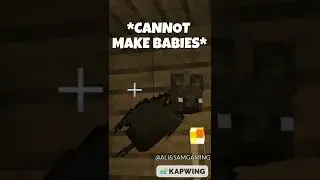 Minecraft Logic Makes No Sense! 😅 PT. 13 #shorts