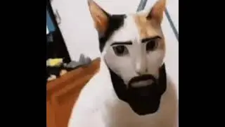 gigacat