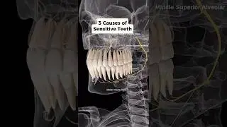 Did you know these are 3 common causes of SENSITIVE Teeth? Watch to find out! 