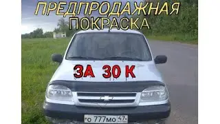 Предпродажная покраска за 30 тысяч рублей за 2 дня