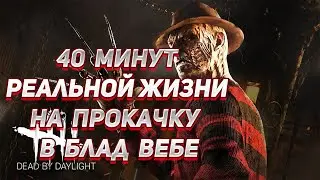 40 минут жизни на прокачку с 3-0 до всех перков персонажа