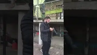 @питбули dragon life