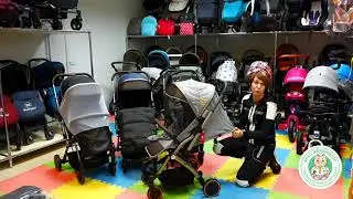 Обзор прогулочной коляски PANDA BABY Q5