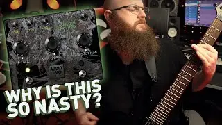 Sick Fuzz tones with the DisTOMPED