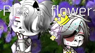 //ℙ𝕚𝕔𝕜 𝕒 𝔽𝕝𝕠𝕨𝕖𝕣// (𝚑𝚊𝚑𝚊 𝚜𝚝𝚘𝚙 𝚊𝚖 𝙸 𝚊𝚗 𝚒𝚍𝚒𝚘𝚝 𝚑𝚊𝚑𝚊)