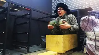 😱 Первый опыт изготовления ящиков - смотрень с валерьянкой