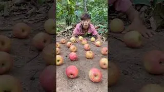 Survival Skills: Cooking Apples with Coca #survival #food #forest #bushcraft #camping #shorts