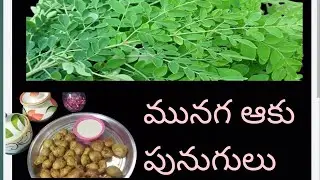 మునగ ఆకు పునుగులు #punugulu Recipe | Street style punugulu | healthy punugulu | recipe