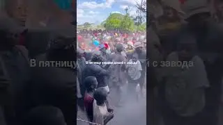 настроение тусить